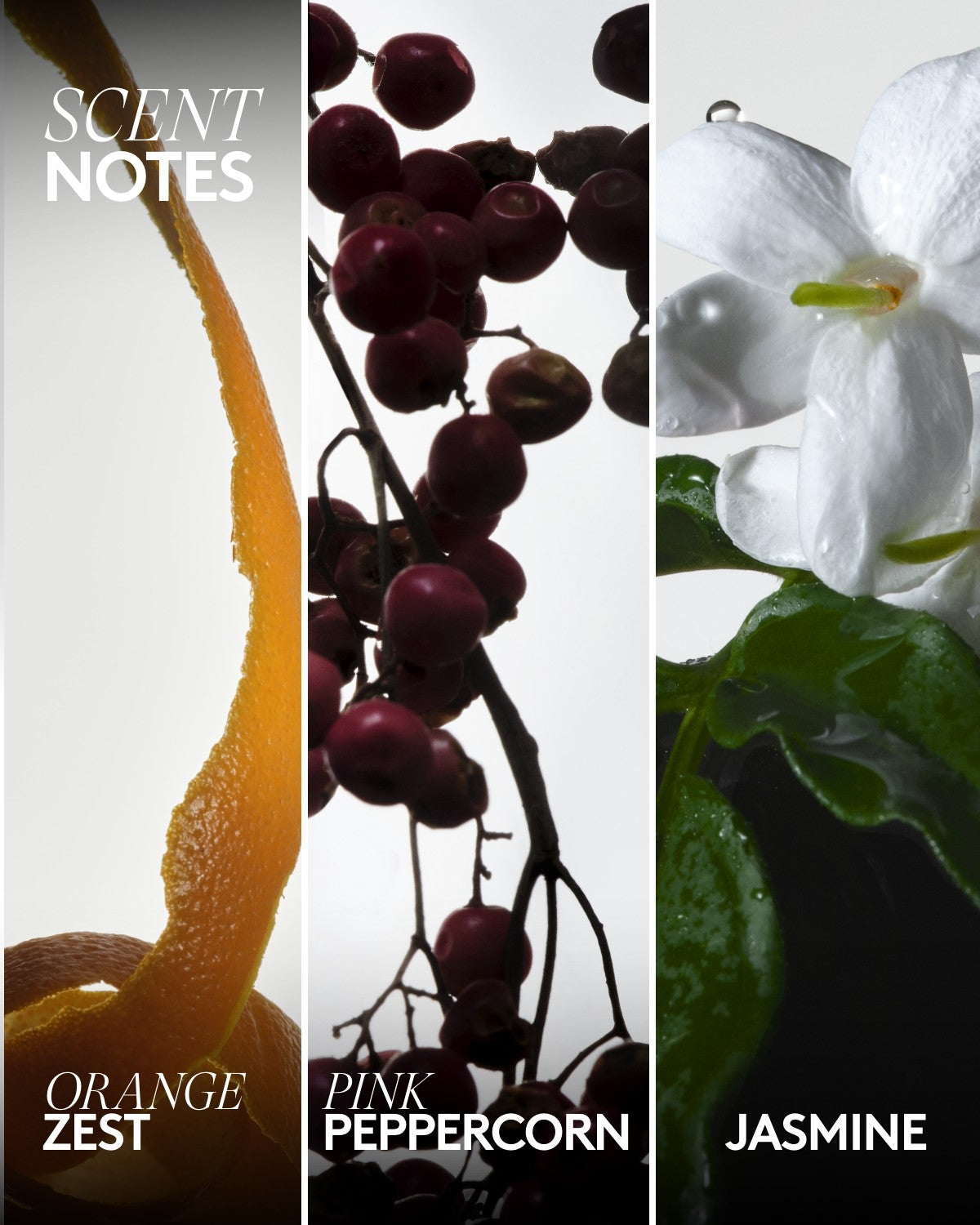 Big Dripp'r Body Wash ¡ ª Hey, Bouquet